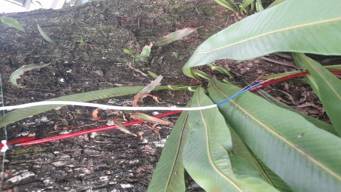 Daños en el alumbrado de Ibagué