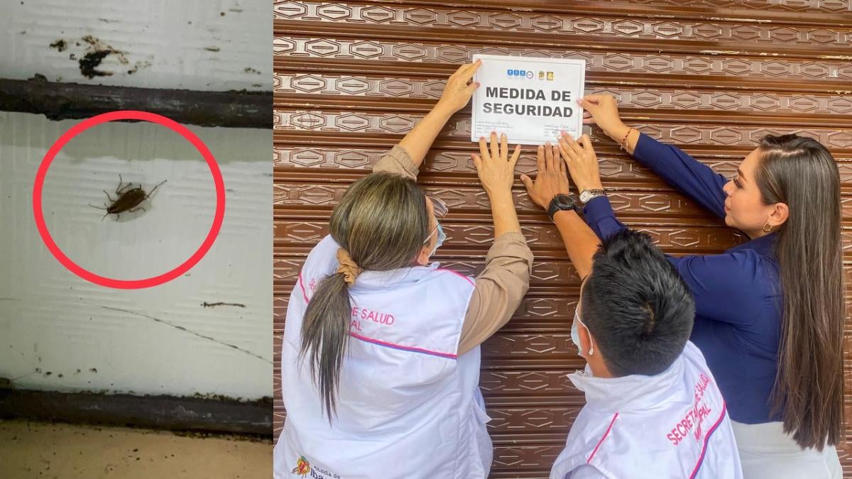 Cierre panadería en Ibagué | Plagas en panadería | Ibagué | Noviembre 2024