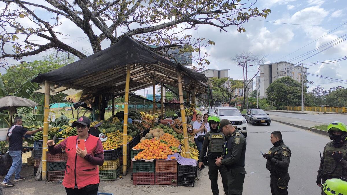 Puesto de frutas el progal