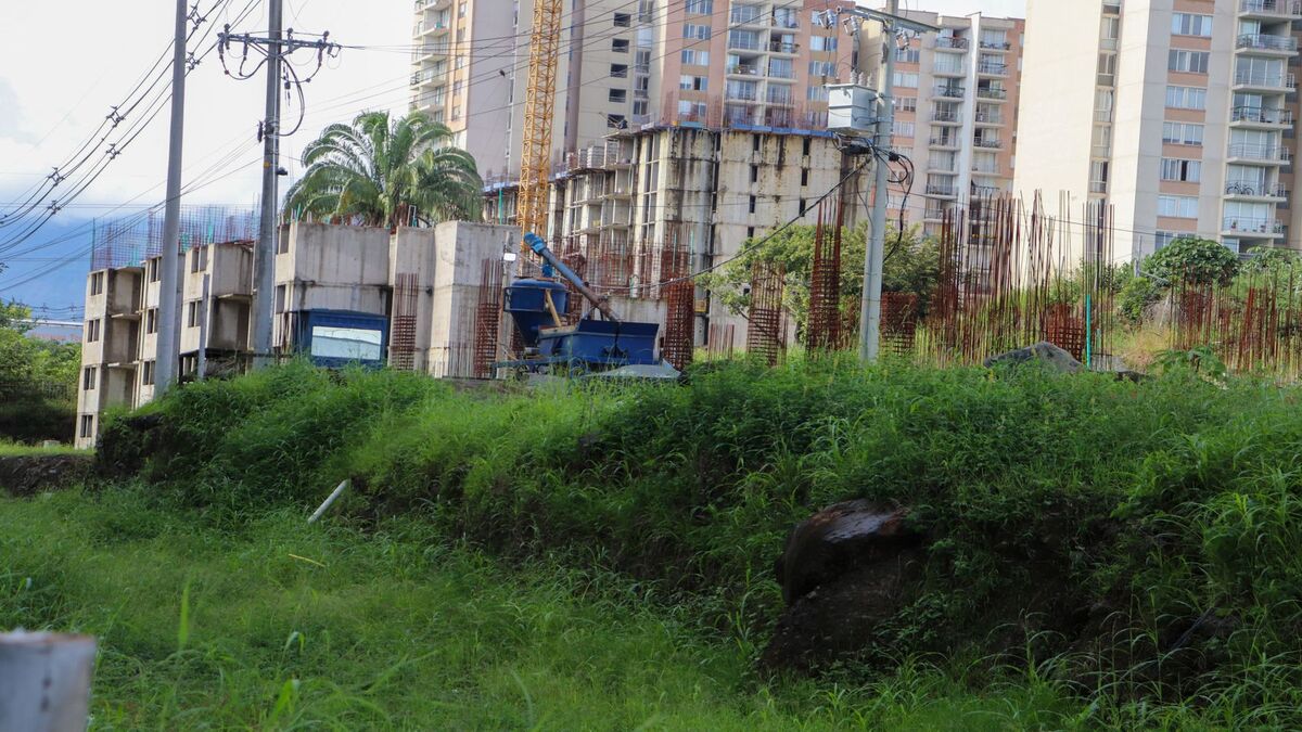 constructora intervenida en Ibagué