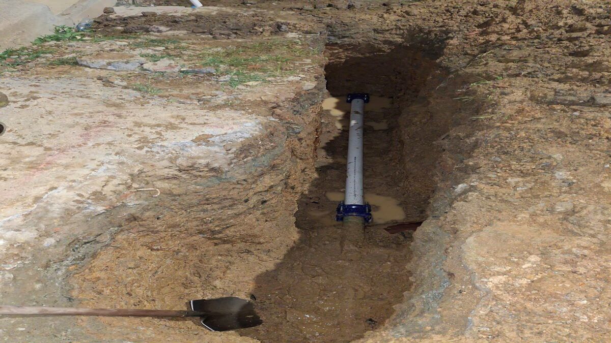 Daño en red matriz del IBAL