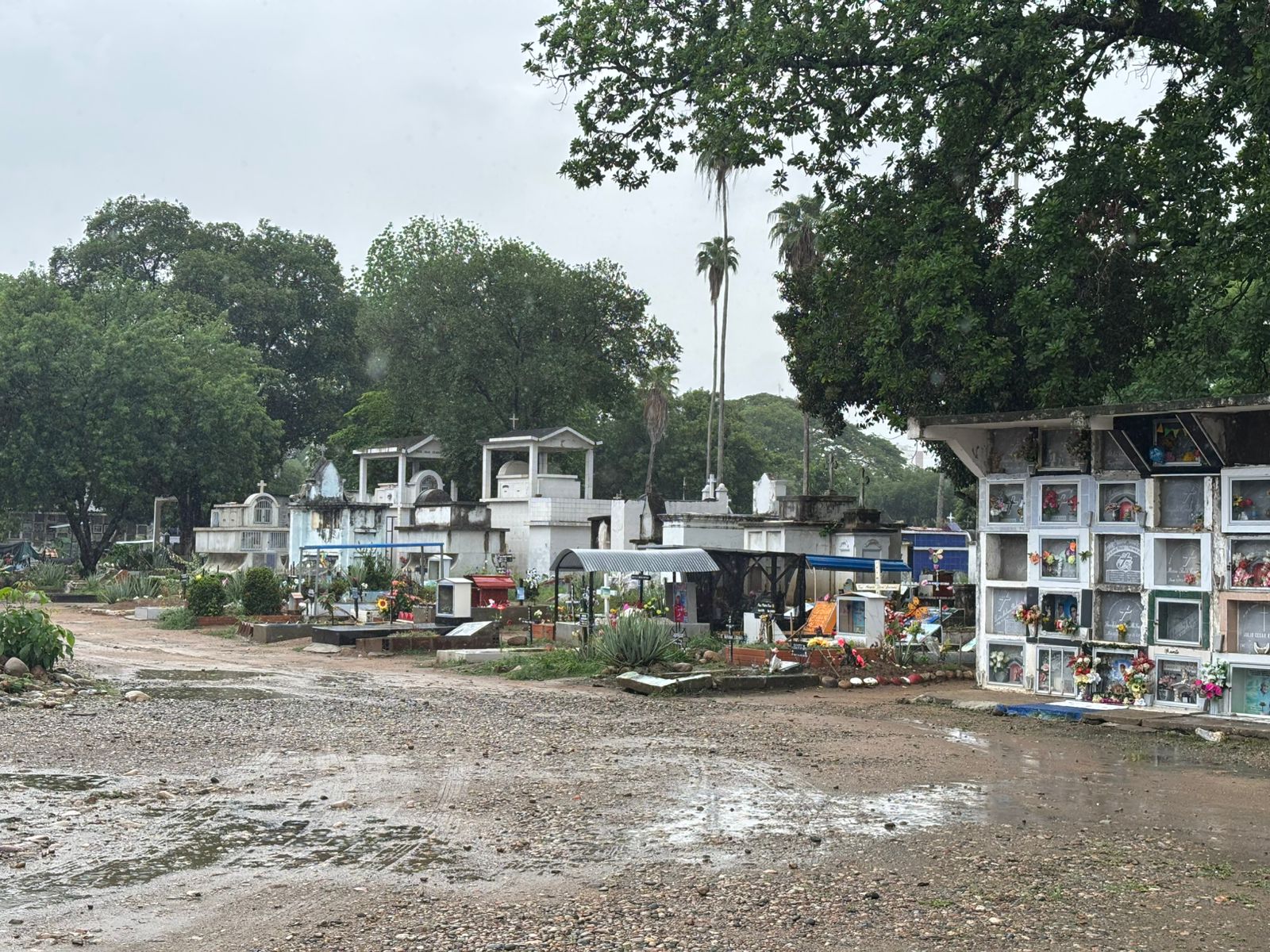 La Unidad de Búsqueda inicia la cuarta intervención en el Cementerio de Neiva.