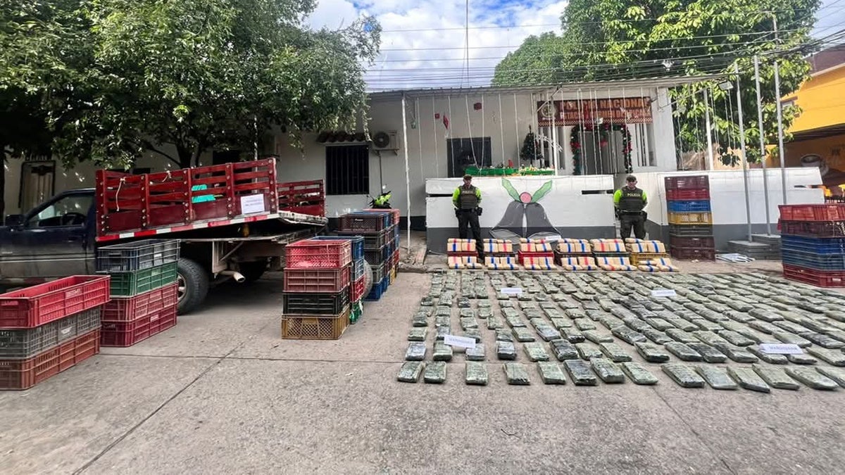 ¡Se les cayó el cargamento de fin de año! Incautados más de 300 kilogramos de marihuana en vías de Flandes