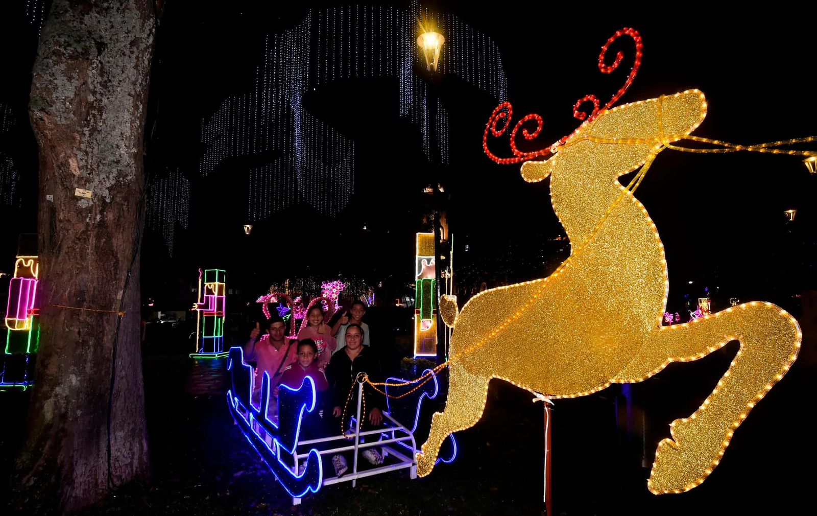 Alumbrado Navideño 6