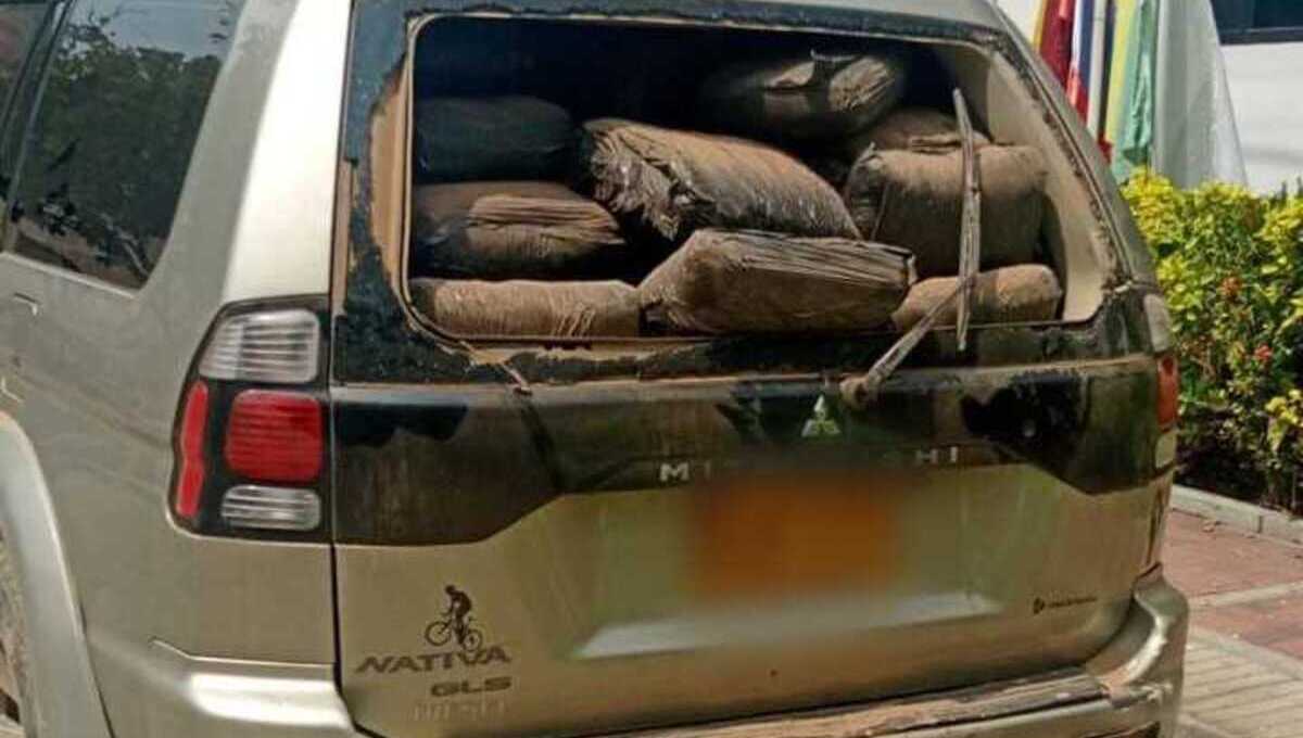 Incautación de alucinógenos