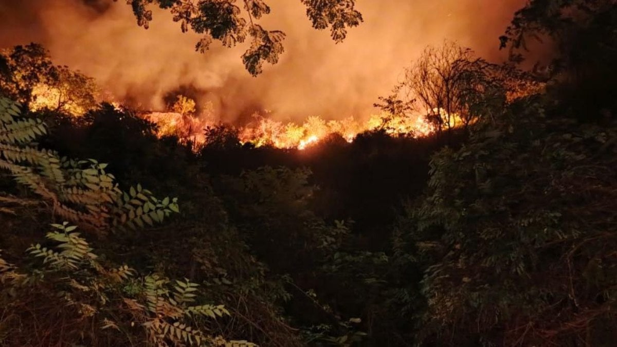 Incendio forestal en Prado | Emergencia Prado | Incendio Prado | Enero 2025