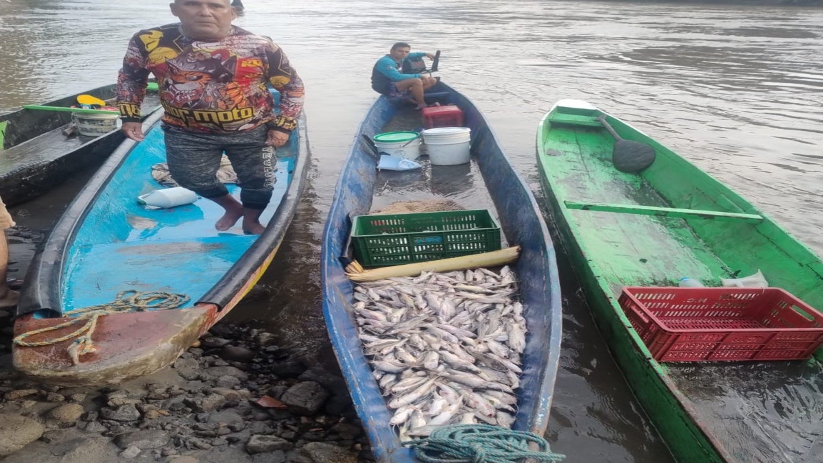 Llegada de subienda a Honda