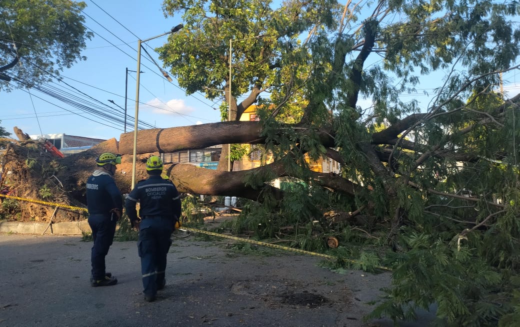 En 26 municipios del Huila se han reportado afectaciones por las lluvias