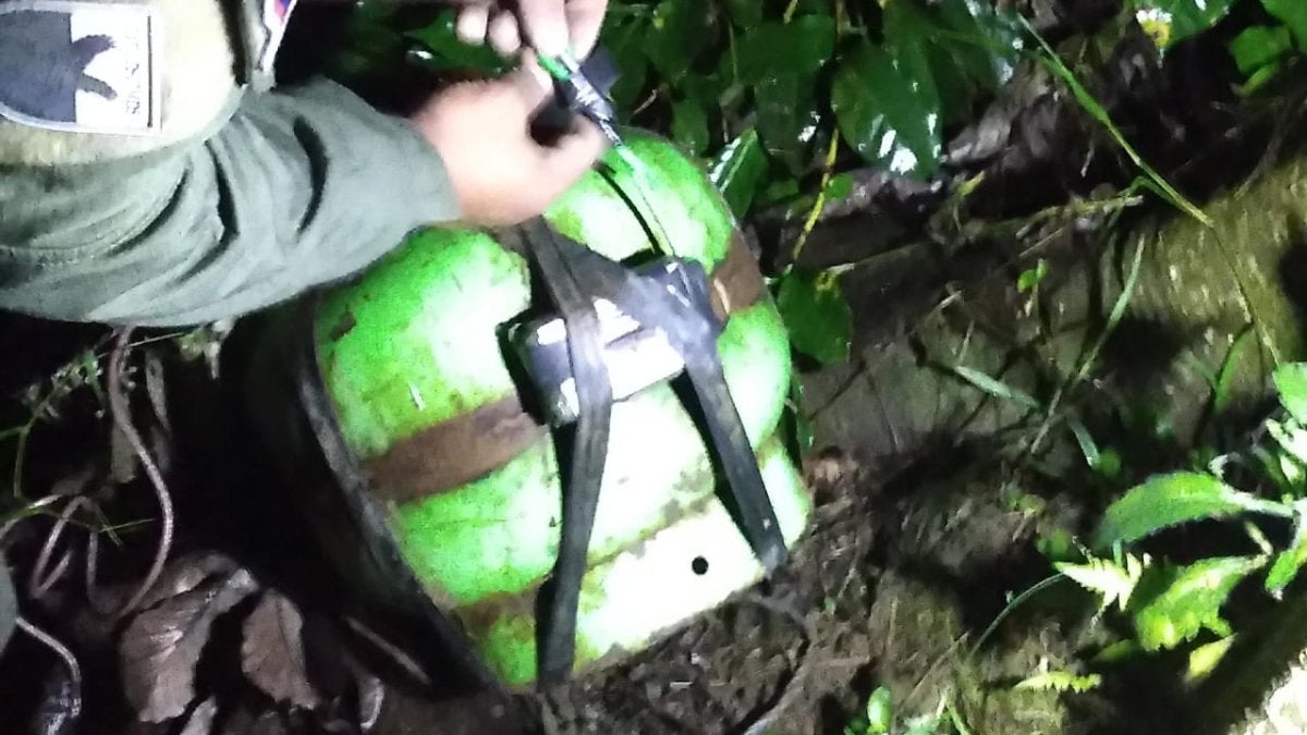 Cilindro con explosivos en La Plata | Detonación La Plata | La Plata, Huila | Febrero 2025