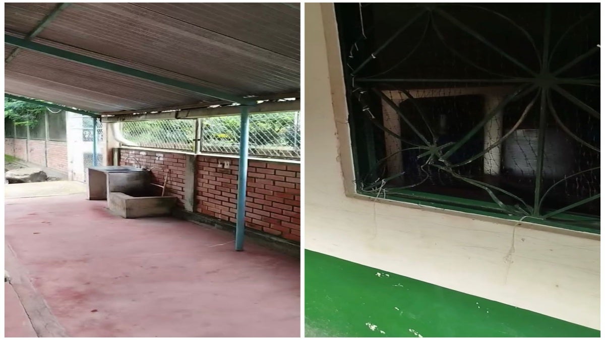 Colegio rural de Purificación