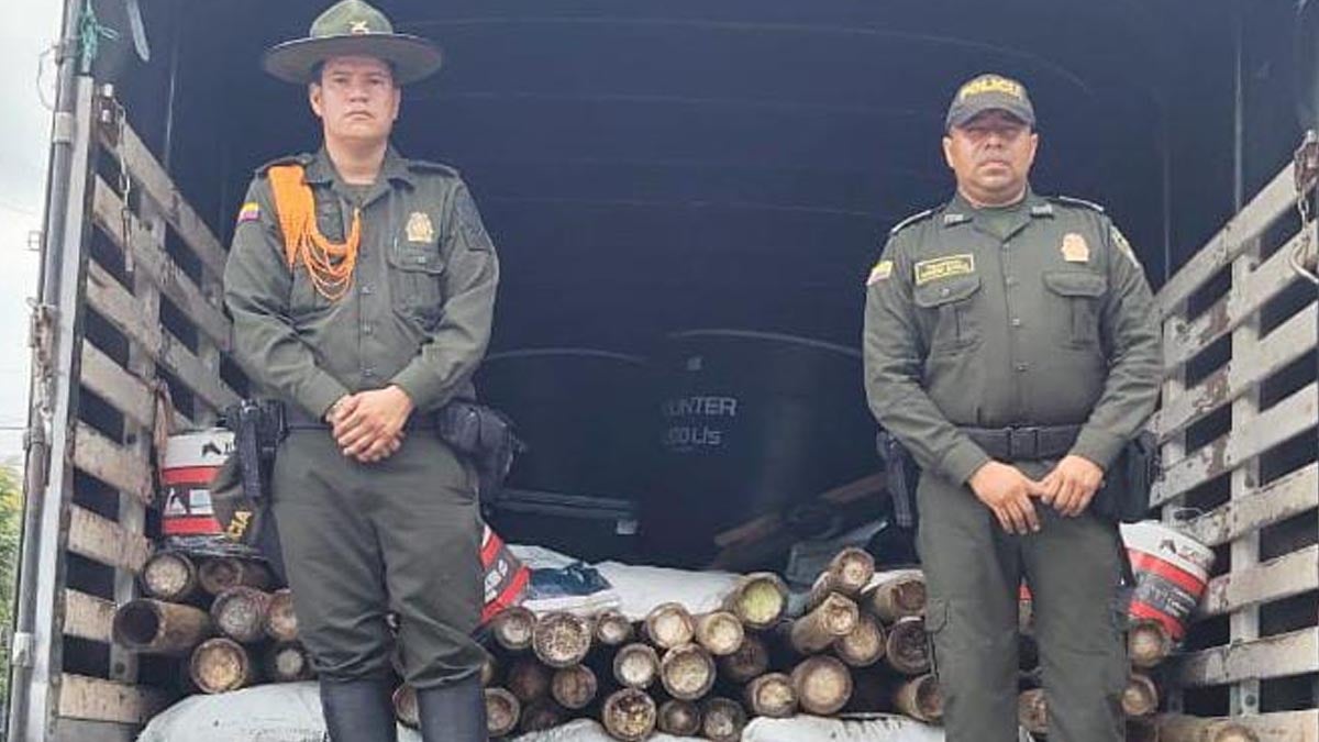 incautacion de guadua