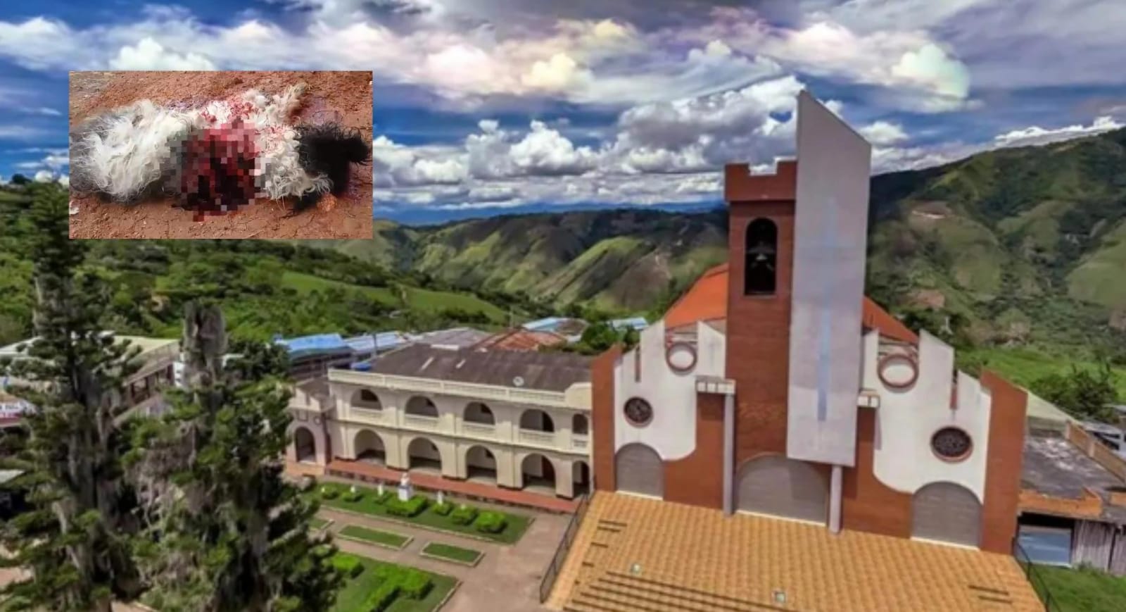 Muerte perrito Oporapa