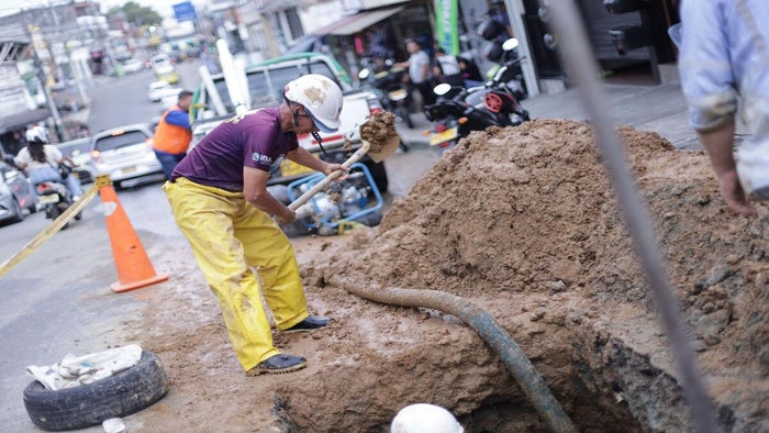 Daño en red matriz del IBAL