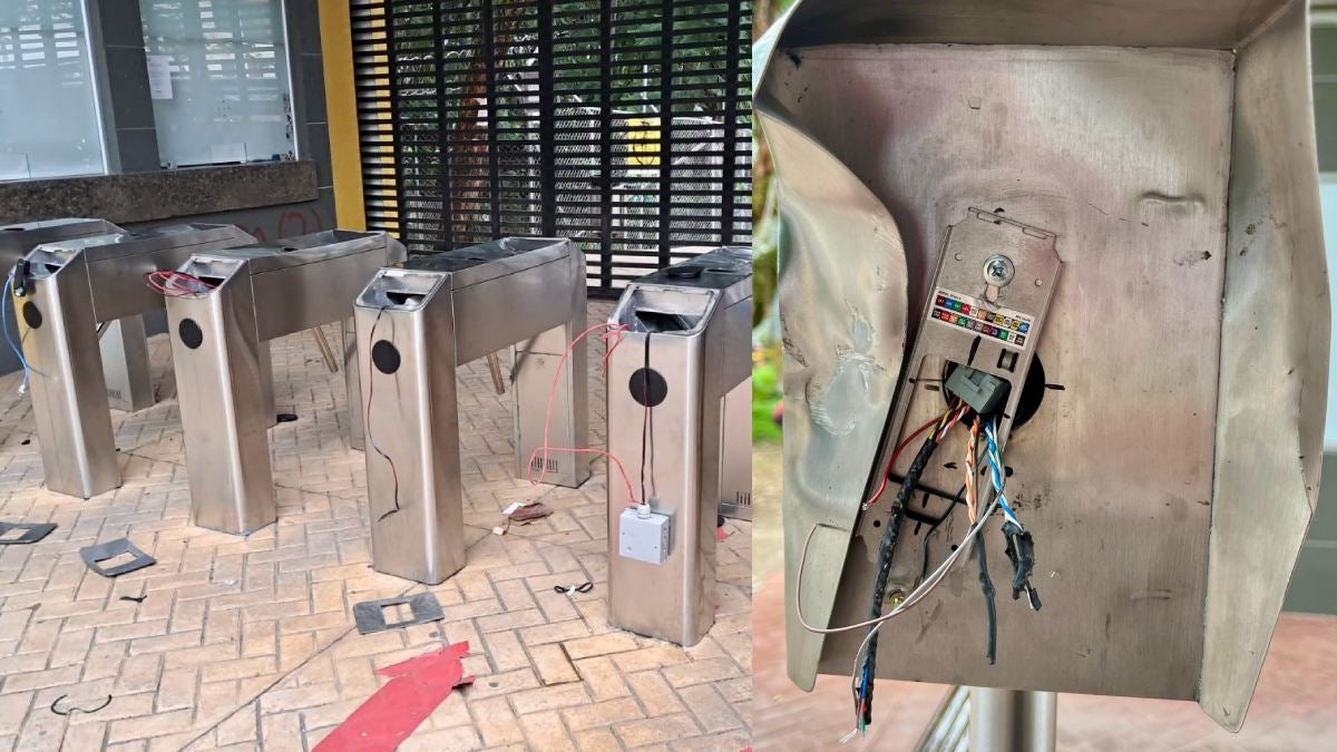 Daños Universidad del Tolima | Destrozos encapuchados Universidad del Tolima | Universidad del Tolima | Marzo 2025