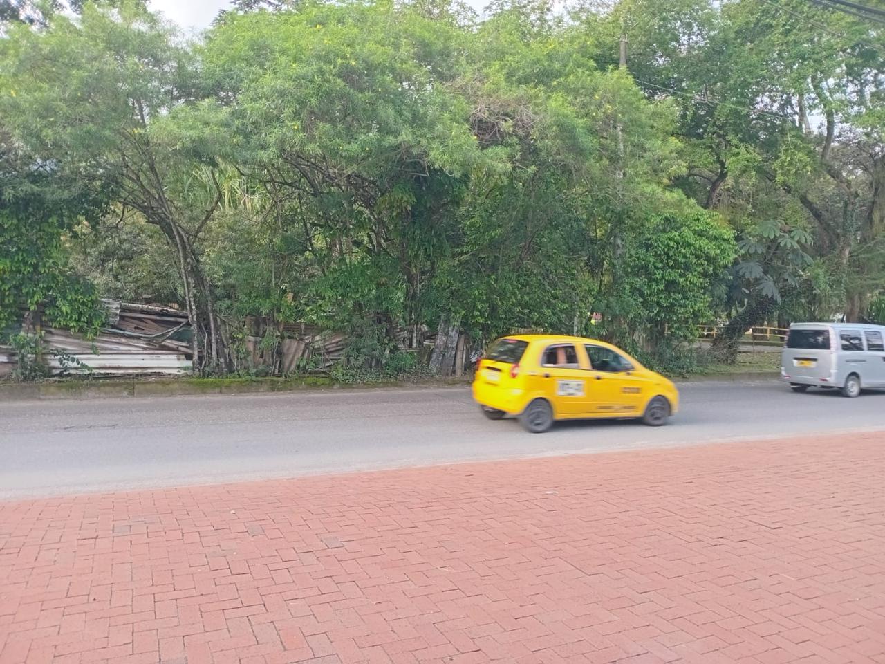 Denuncia Ciudadana Glorieta de Cañaveral