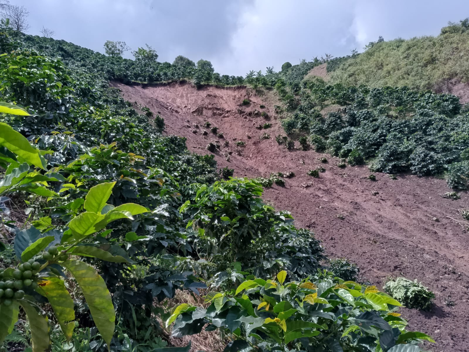Deslizamientos, inundaciones y crecientes súbitas se registran en el Huila.