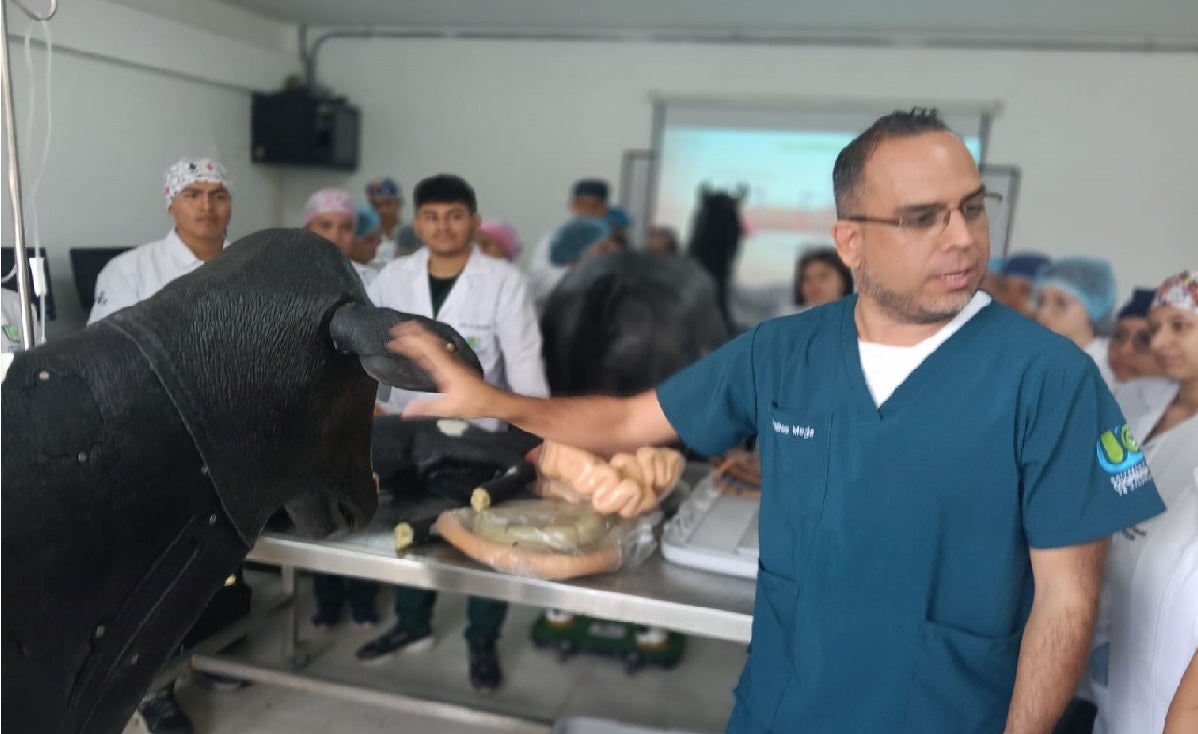 Decano con simulador