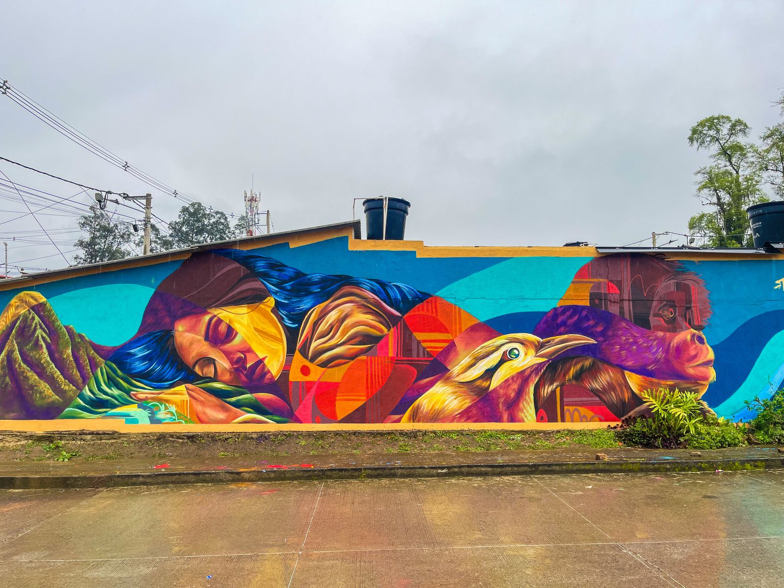 Thiago C, Mural Málaga, Santander