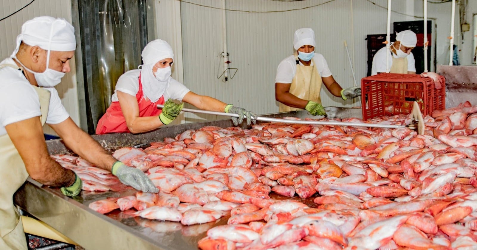 Producción Piscícola Huila