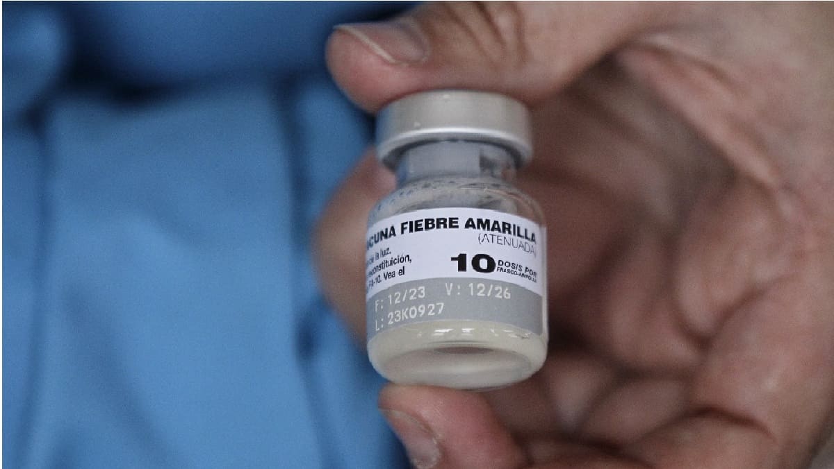 Vacunación fiebre amarilla