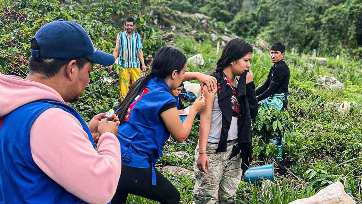 Vacunación fiebre amarilla | Fiebre amarilla Tolima | Brote fiebre amarilla | Abril 2025