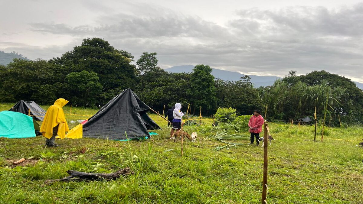 Desalojo Ibagué 1 Familias Desalojadas 1 Invasión 1 Abril 2025