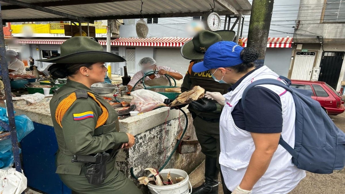 Cayeron con 73 kilos de pez prohibido en la Plaza de la 28