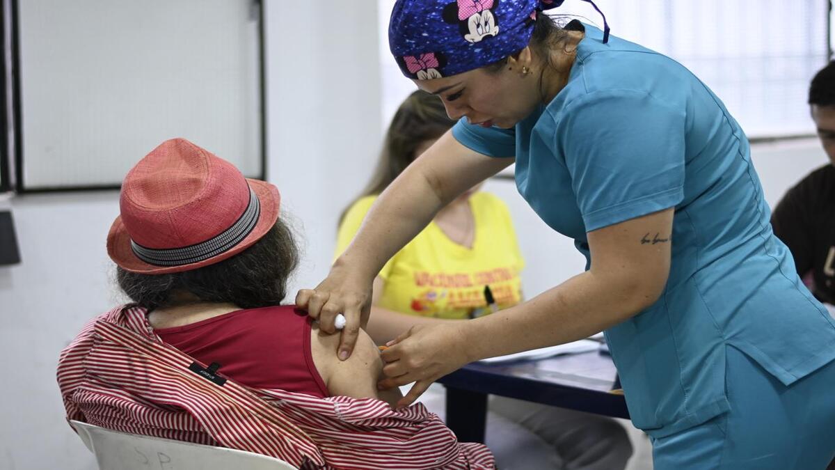 Vacunación Fiebre Amarilla 1 Vacunación Ibagué 1 Fiebre Amarilla 1 Abril 2025