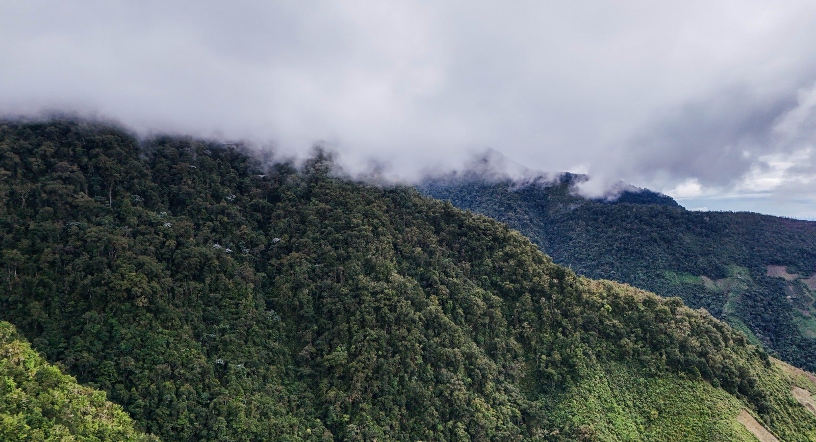 Parque Natural Regional Siberia Ceibas