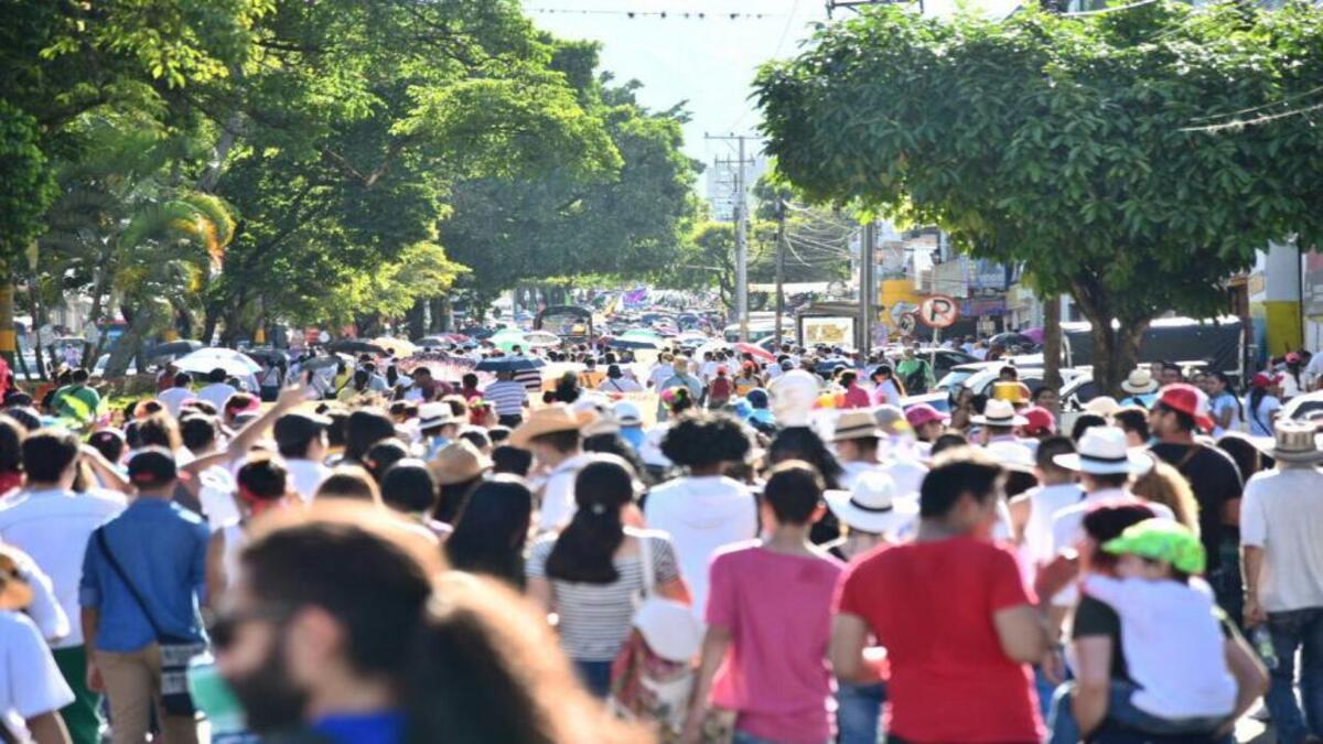 Marcha Carnaval | Jornada de Manifestación | Movilizaciones | Junio 2025