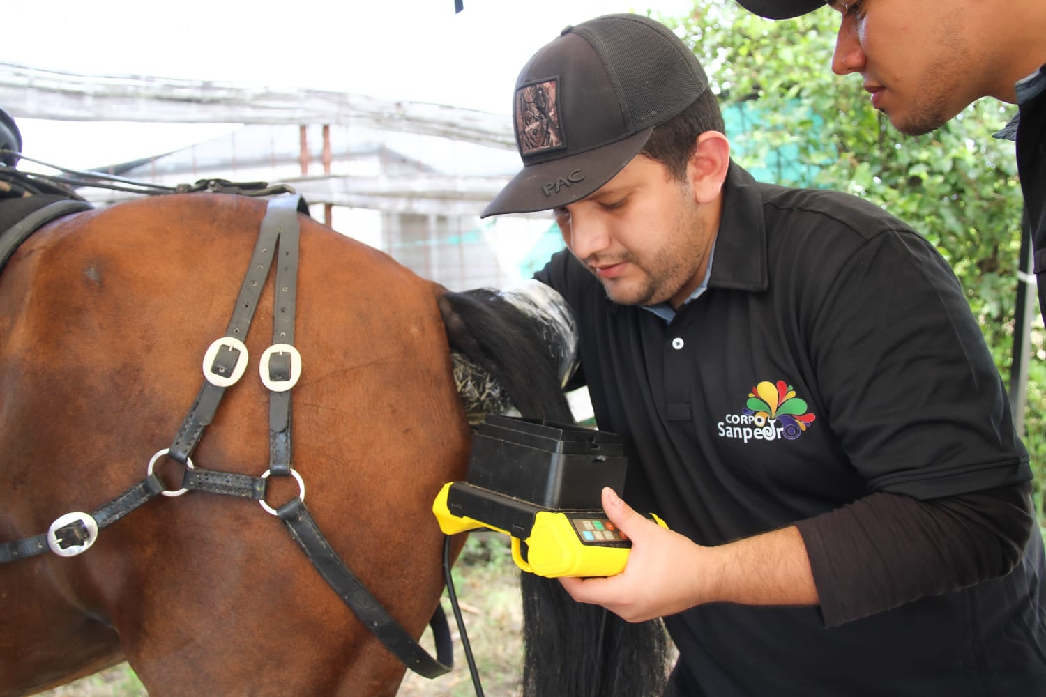 Controles cabalgatas Huila