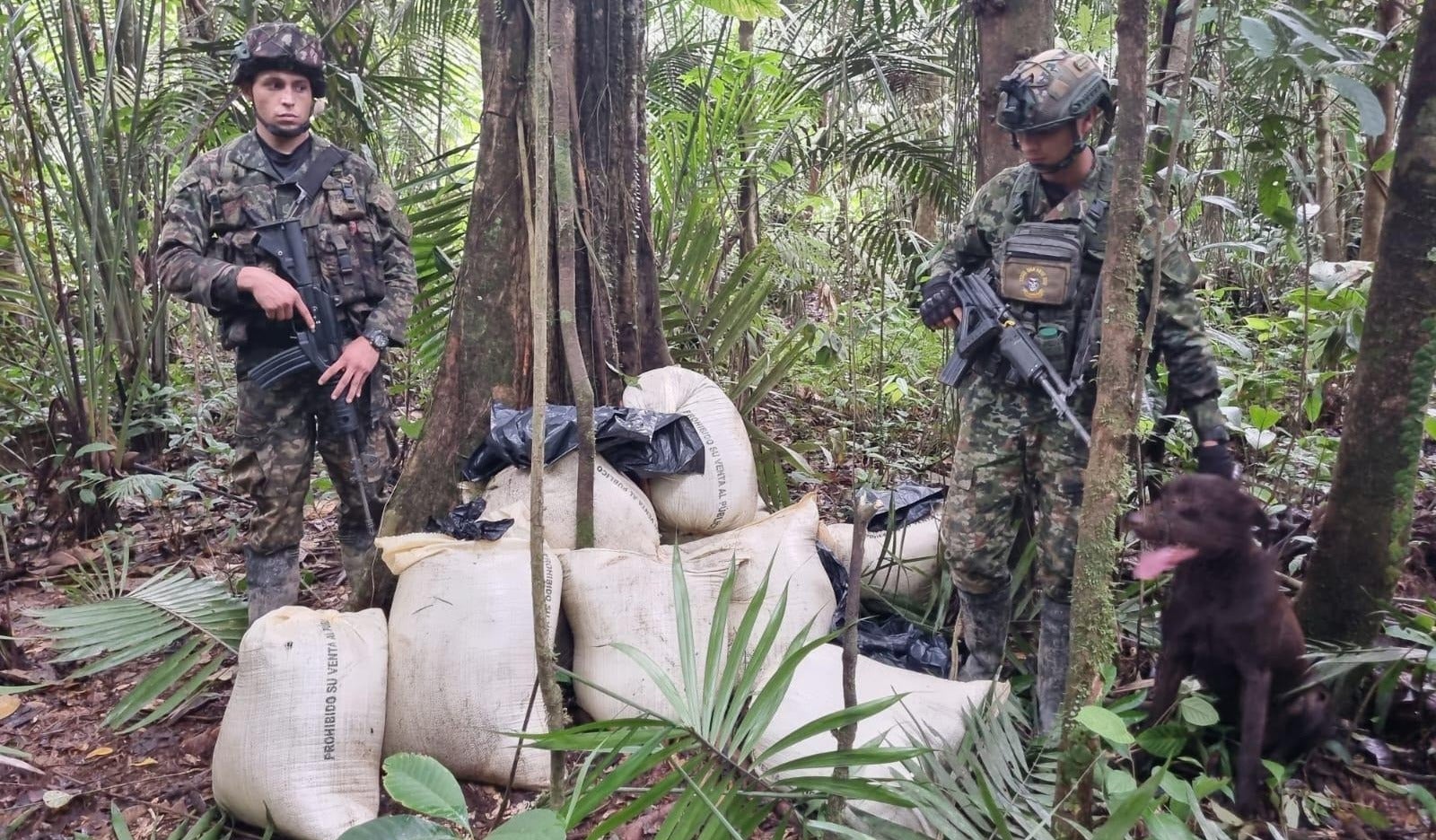 Destrucción Explosivos