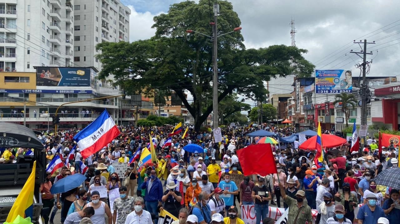 marcha junio favor consulta popular