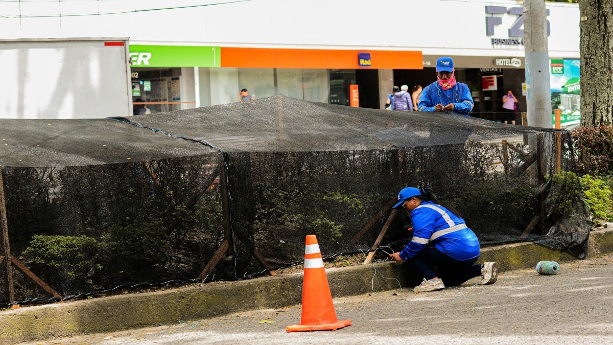 Separadores de la quinta