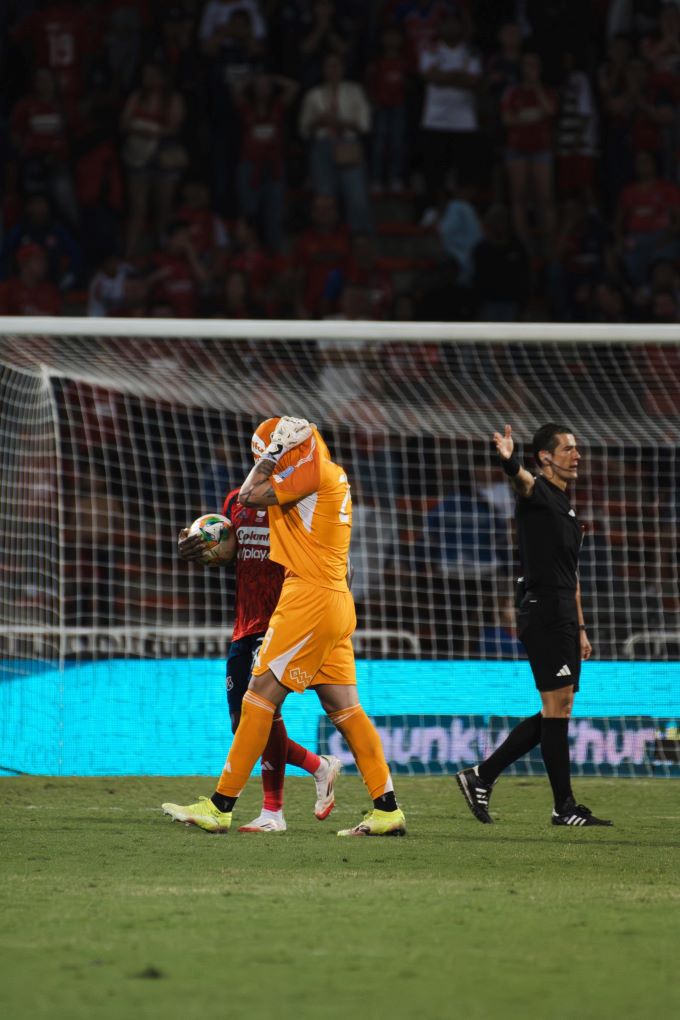 Cayo en casa el cuadro pijao