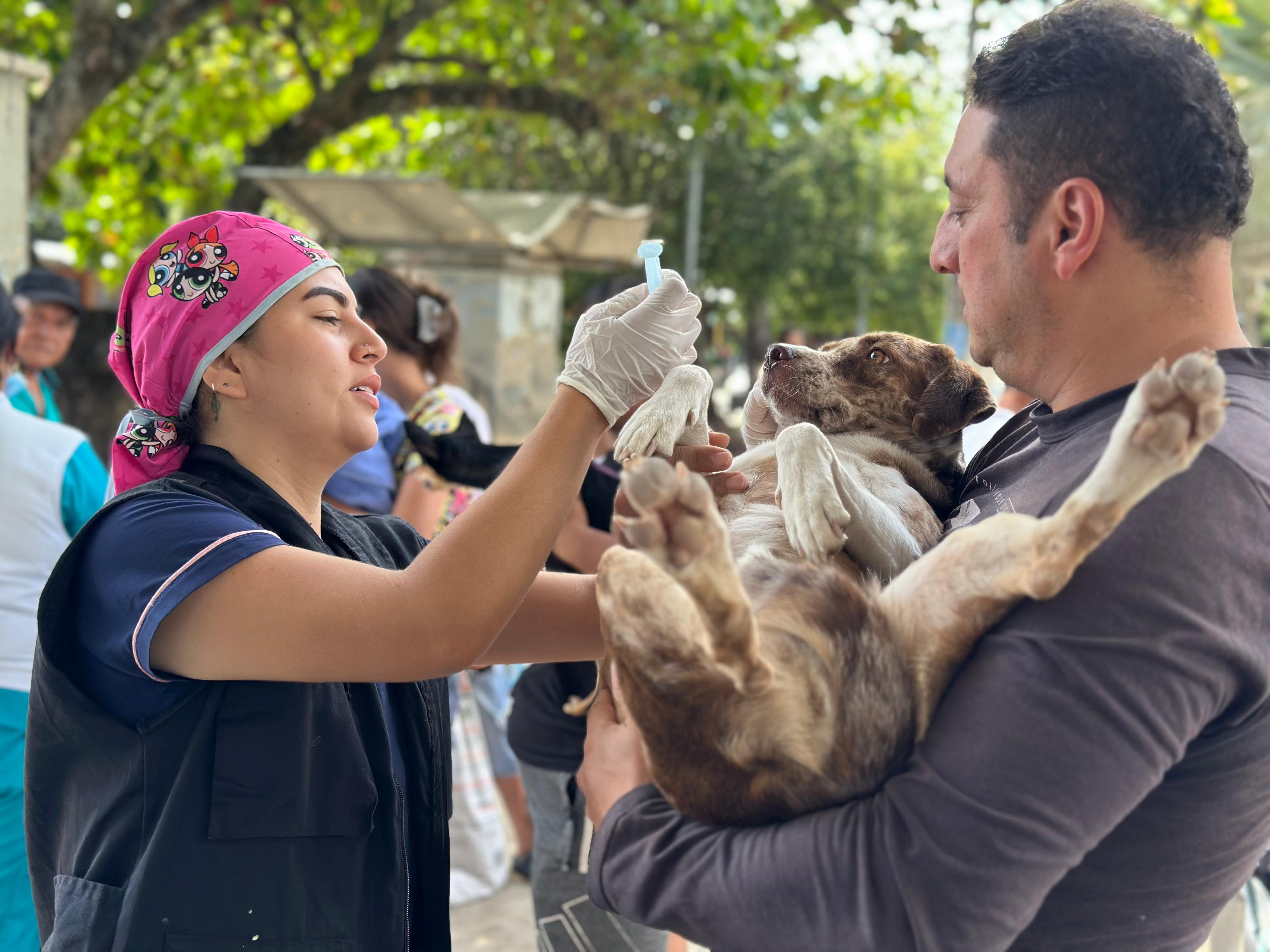 Vacunación perros Neiva.