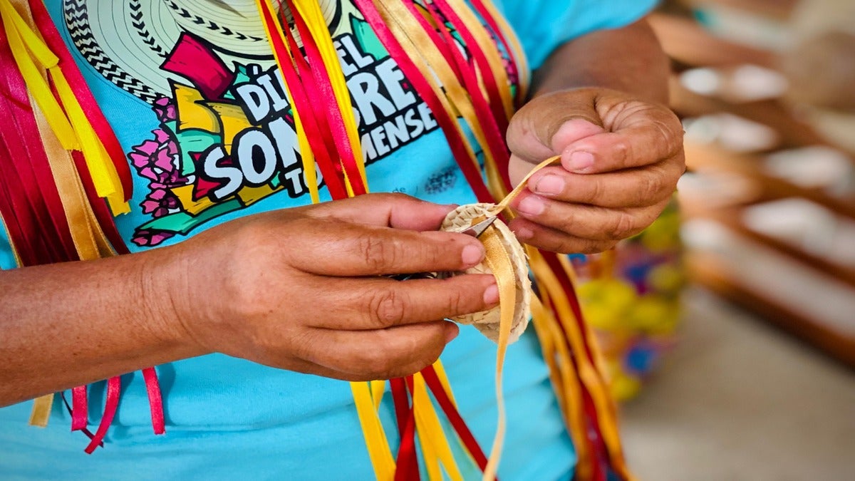 Artesanos del Tolima