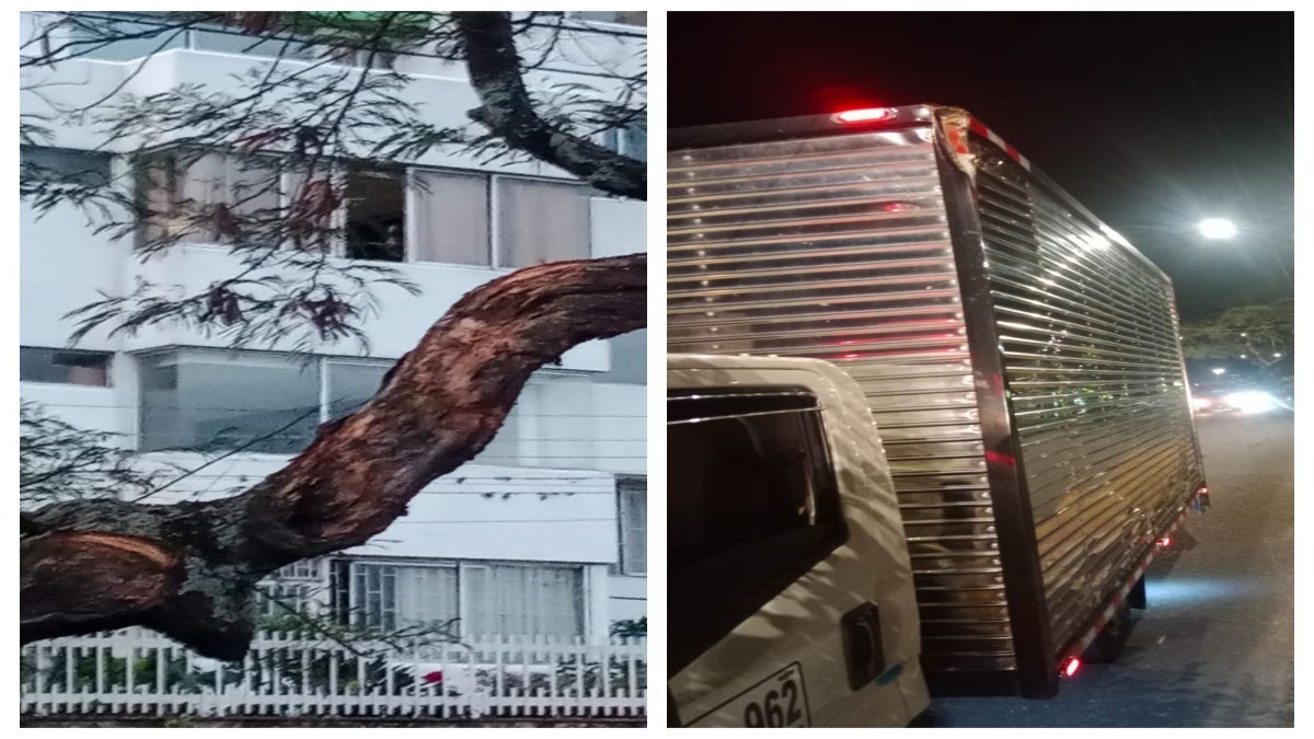 Árbol cayó sobre un camión Ibagué