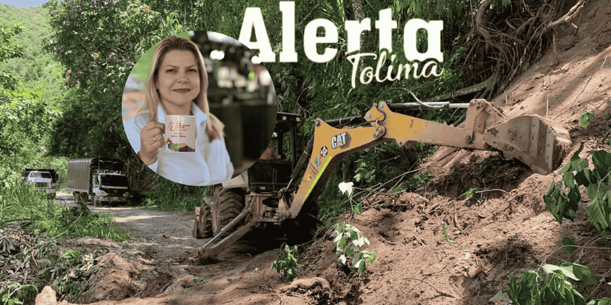 ola invernal en el Libano