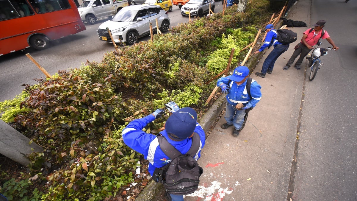 Desmontaje polisombras en la Quinta