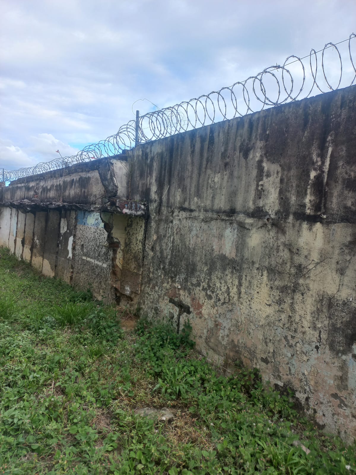 I.E Técnico Darío Echandía Oyala Ibagué