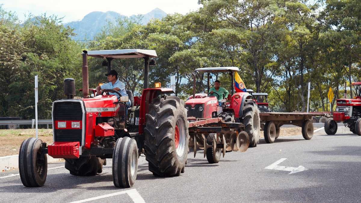 Paro arroceros Tolima | Arroceros Tolima | Paro arroceros | Julio 2025