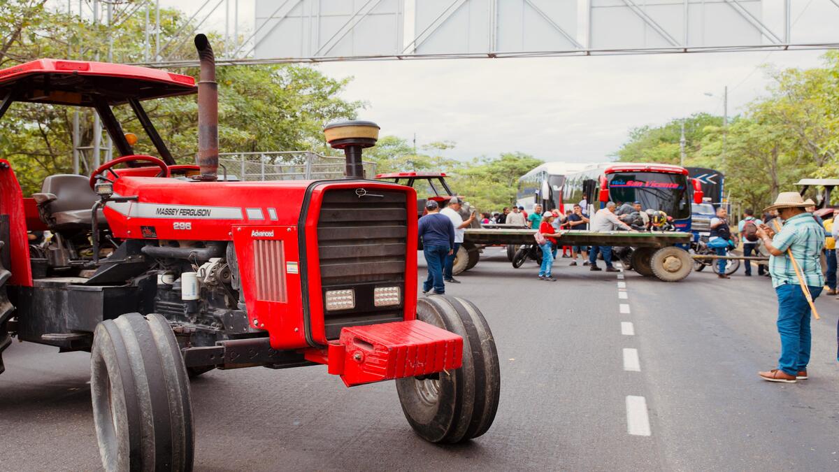 Paro Arrocero en Tolima | Arroceros del Tolima | Productores de Arroz | Julio 2025