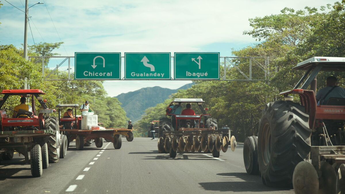 Paro Arrocero | Arroceros Tolima | Gremio Arrocero | Julio 2025