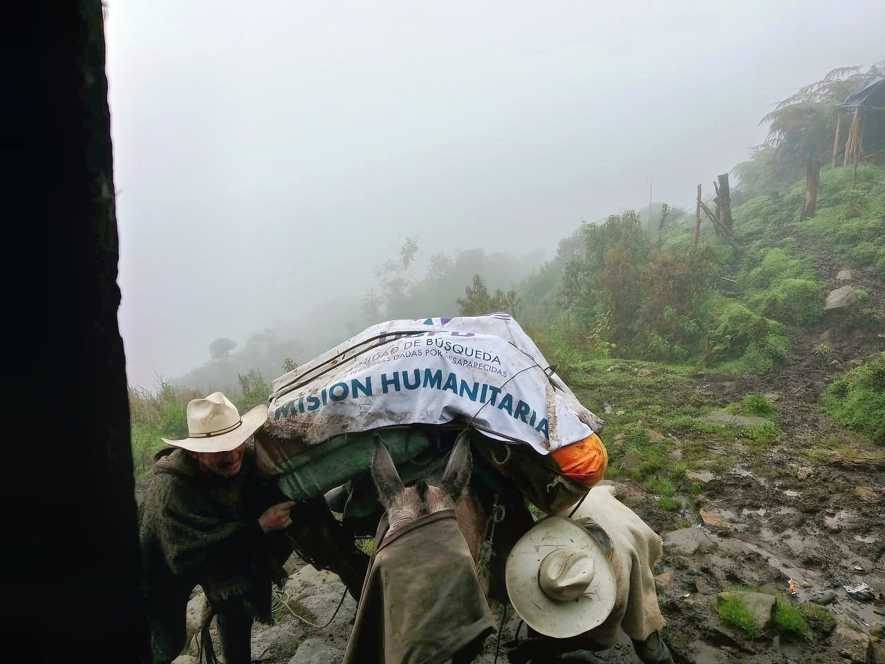 La UBPD hizo la recuperación en zona de difícil acceso en el Tolima.