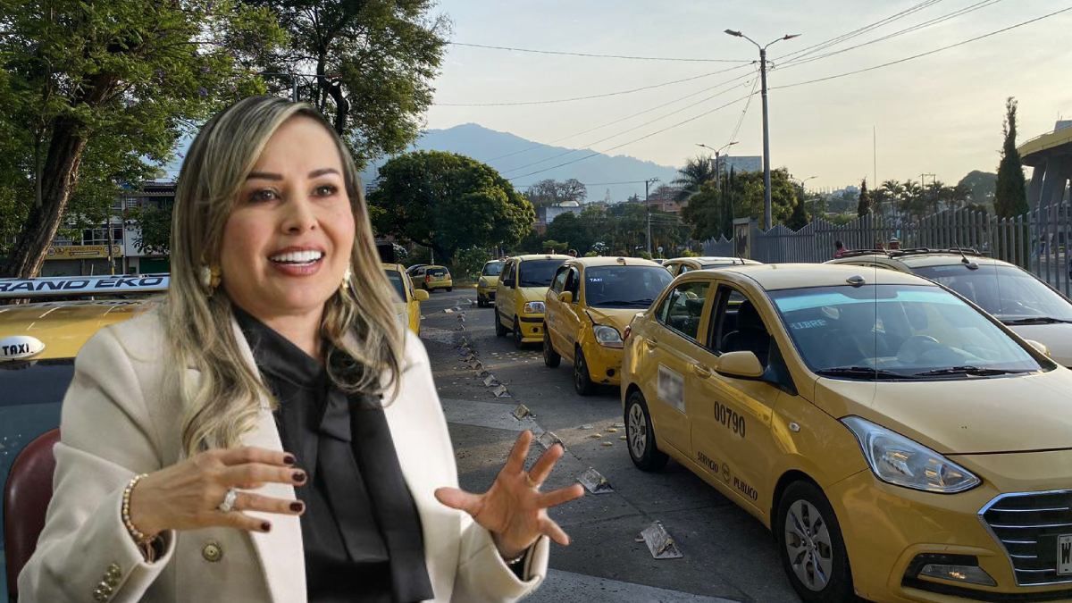 Alcaldesa de Ibagué - taxitas