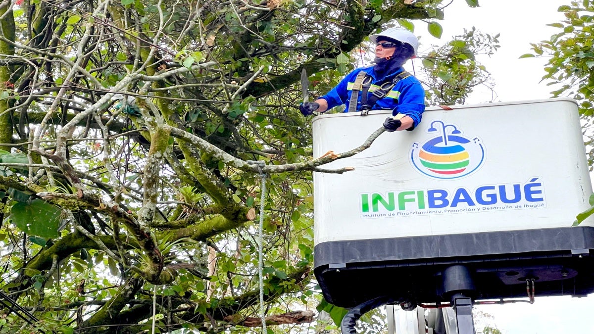 Corte árboles Infibagué
