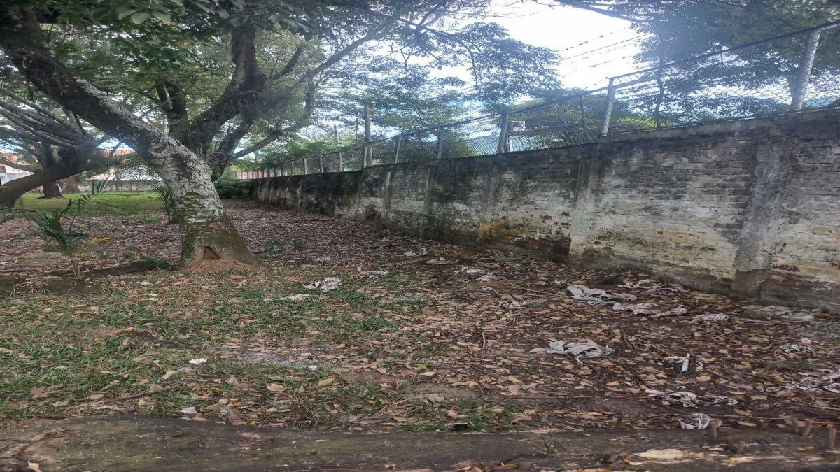 Sin canchas en colegios de Ibagué