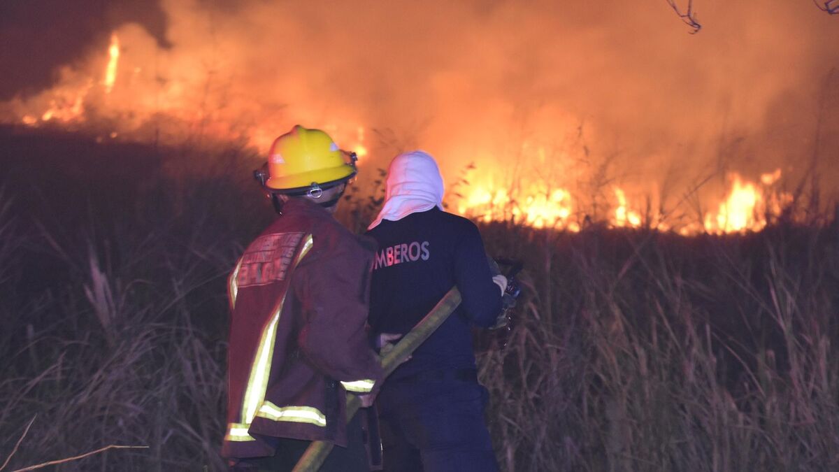 Incendios Forestales | Conflagraciones | Aumento de Incendios | Agosto 2025