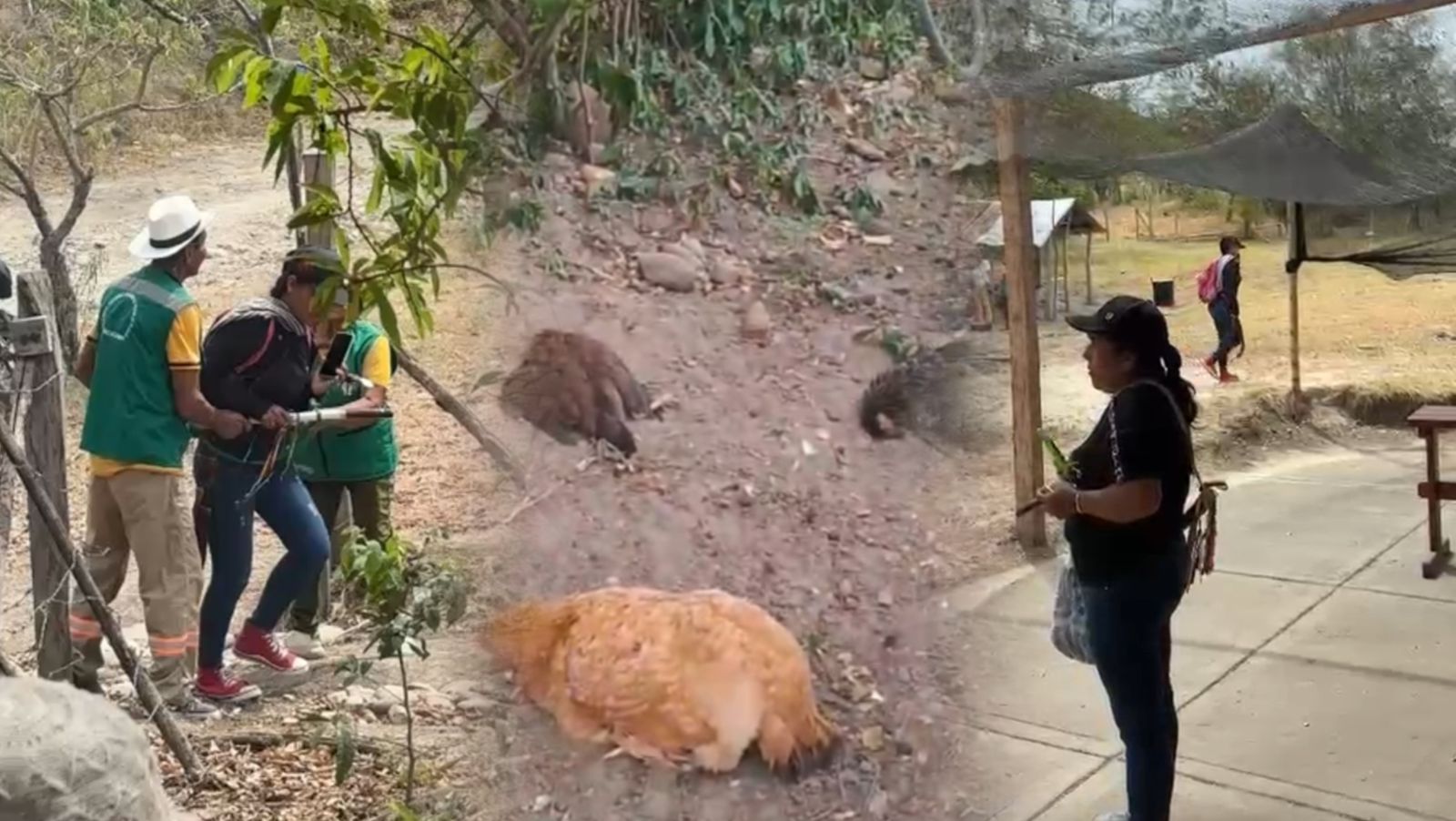 Grave conflicto interno sacude al resguardo indígena Nanurco en Natagaima